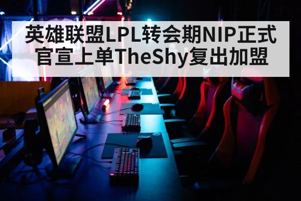 英雄联盟LPL转会期NIP正式官宣上单TheShy复出加盟