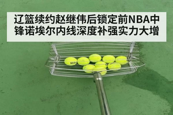辽篮续约赵继伟后锁定前NBA中锋诺埃尔内线深度补强实力大增